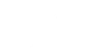 As seen on lychee